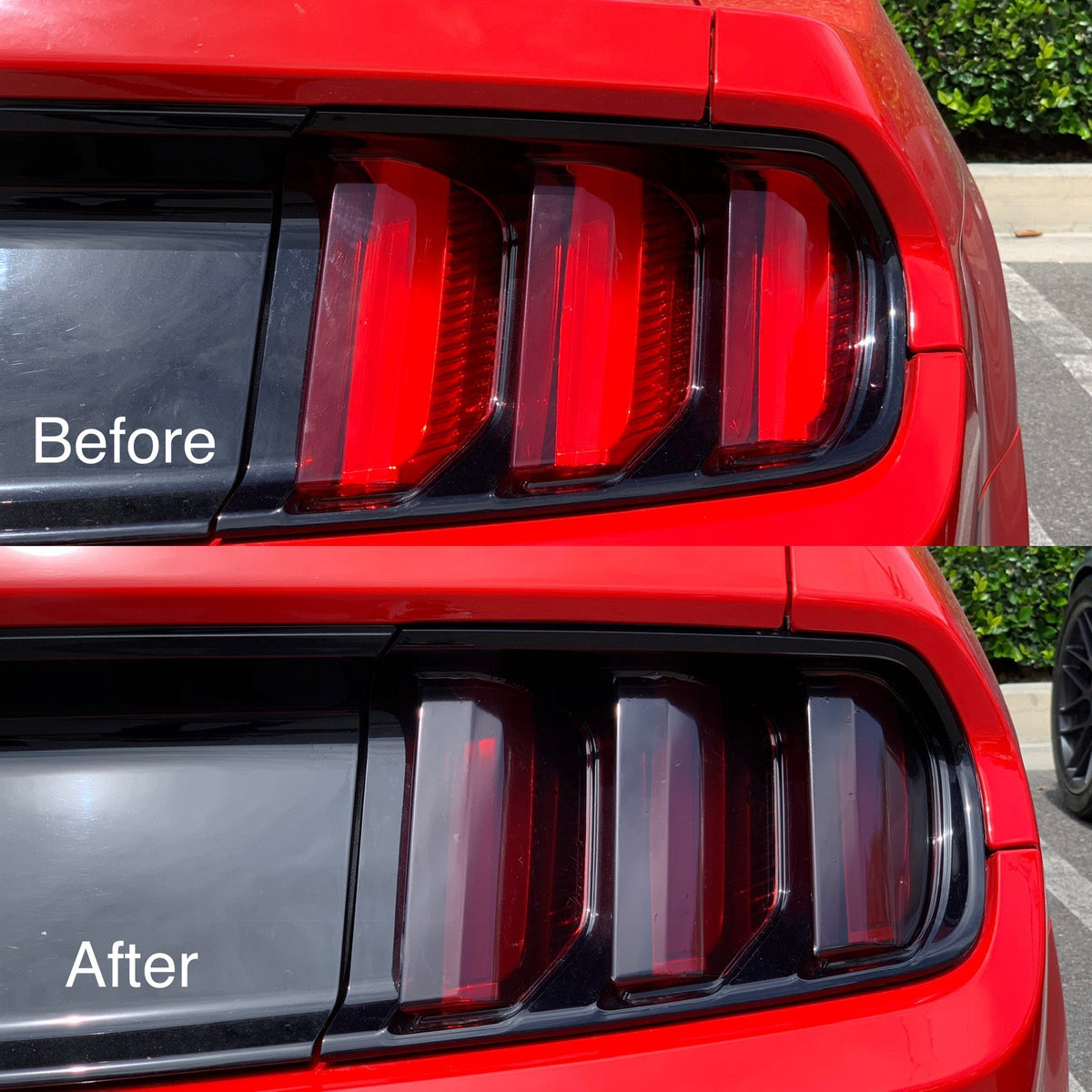 Ford Mustang Tail Light Pre-Cut Overlay